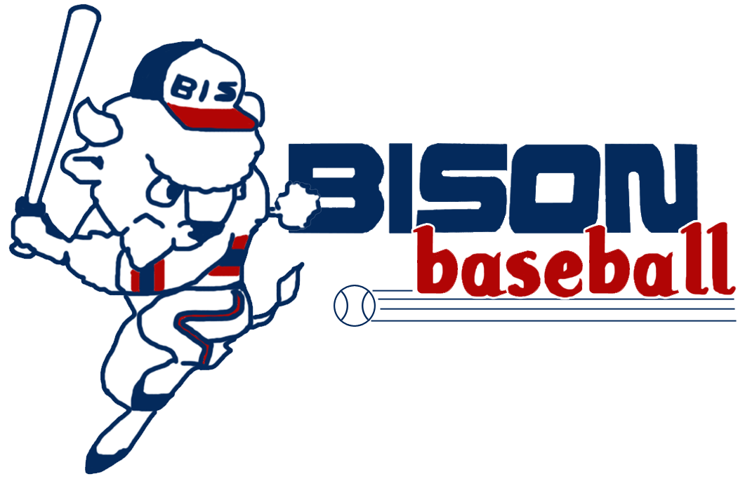 Buffalo Bisons 1985-1987 Primary Logo vinyl decal